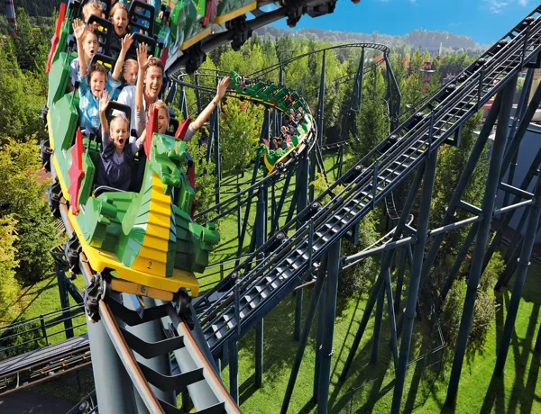 Feuerdrache Collage (2)