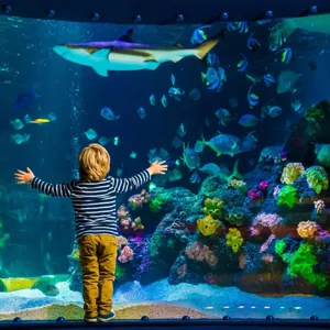 SEA LIFE Timmendorfer Strand Square Min