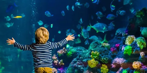 SEA LIFE Timmendorfer Strand Square Min